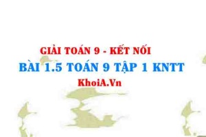 Bài 1.5 SGK Toán 9 tập 1 Kết nối tri thức